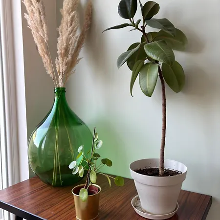 Le St-arnould - Vue Cathedrale, & Calme *