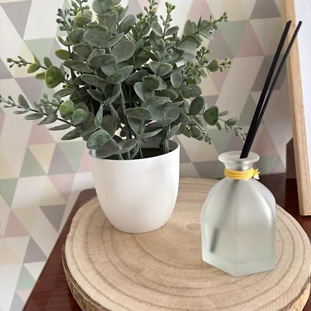 Apartment Le St-arnould - Vue Cathedrale, & Calme Metz