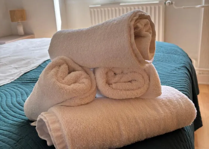 Le St-arnould - Vue Cathédrale, Central&calme * Metz